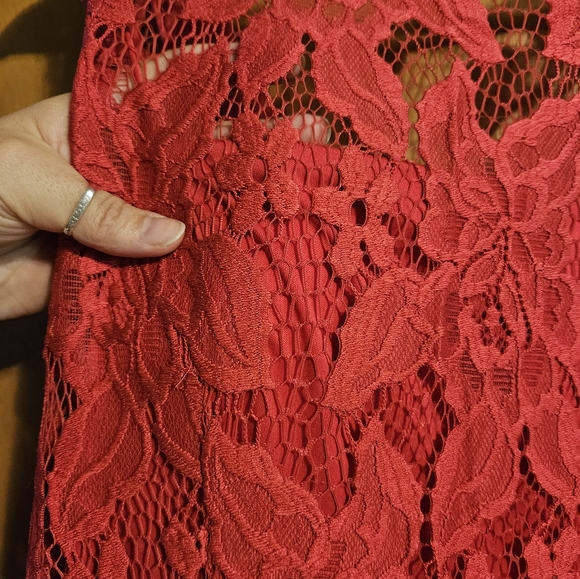 Pink Lace Dress - Picture 2 of 5